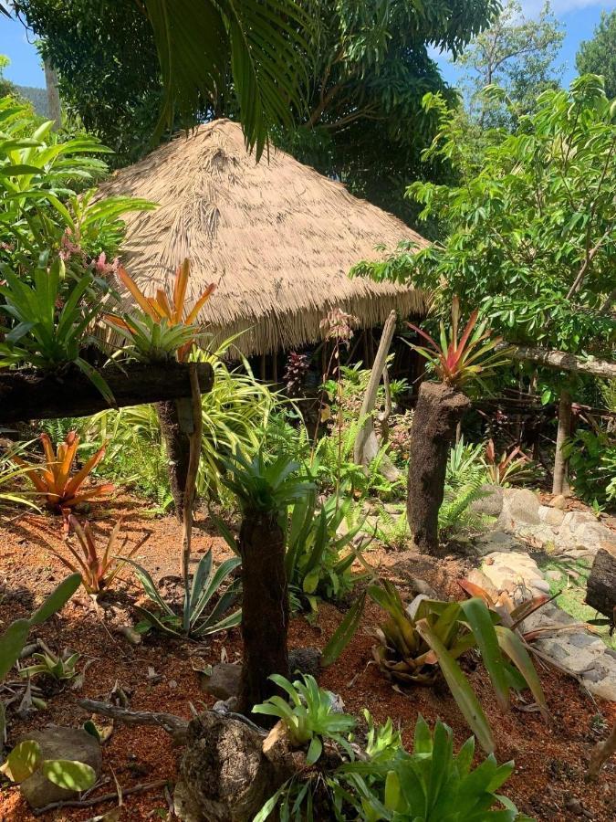 Orchid Resort Ltd Guillet Bagian luar foto